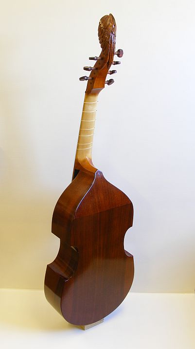 viol
