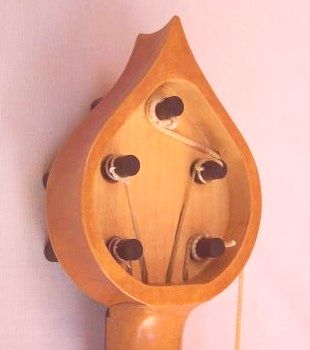 peg head rear detail